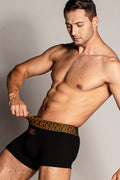 THE GOLD BELT TRUNK